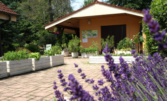 JUN 25 vstup vopz (14).JPG